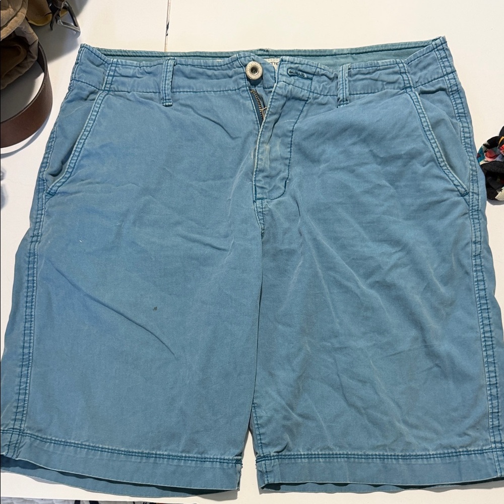 American Eagle Outfitters Sky Blue Flat Front Shorts